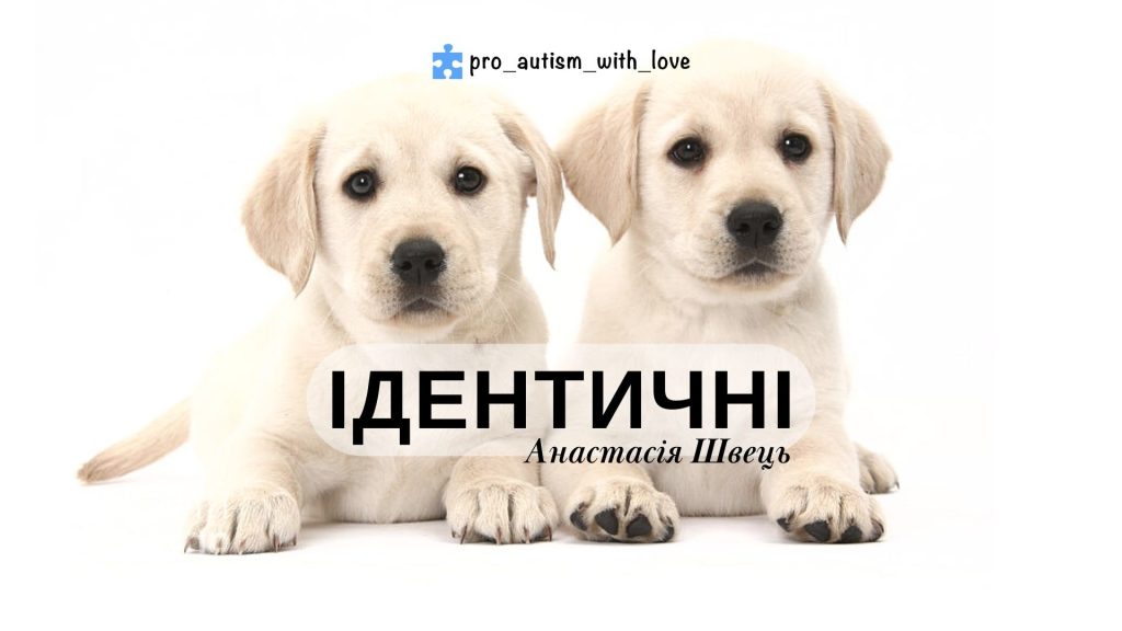 ІДЕНТИЧНІ(ОДНАКОВІ)