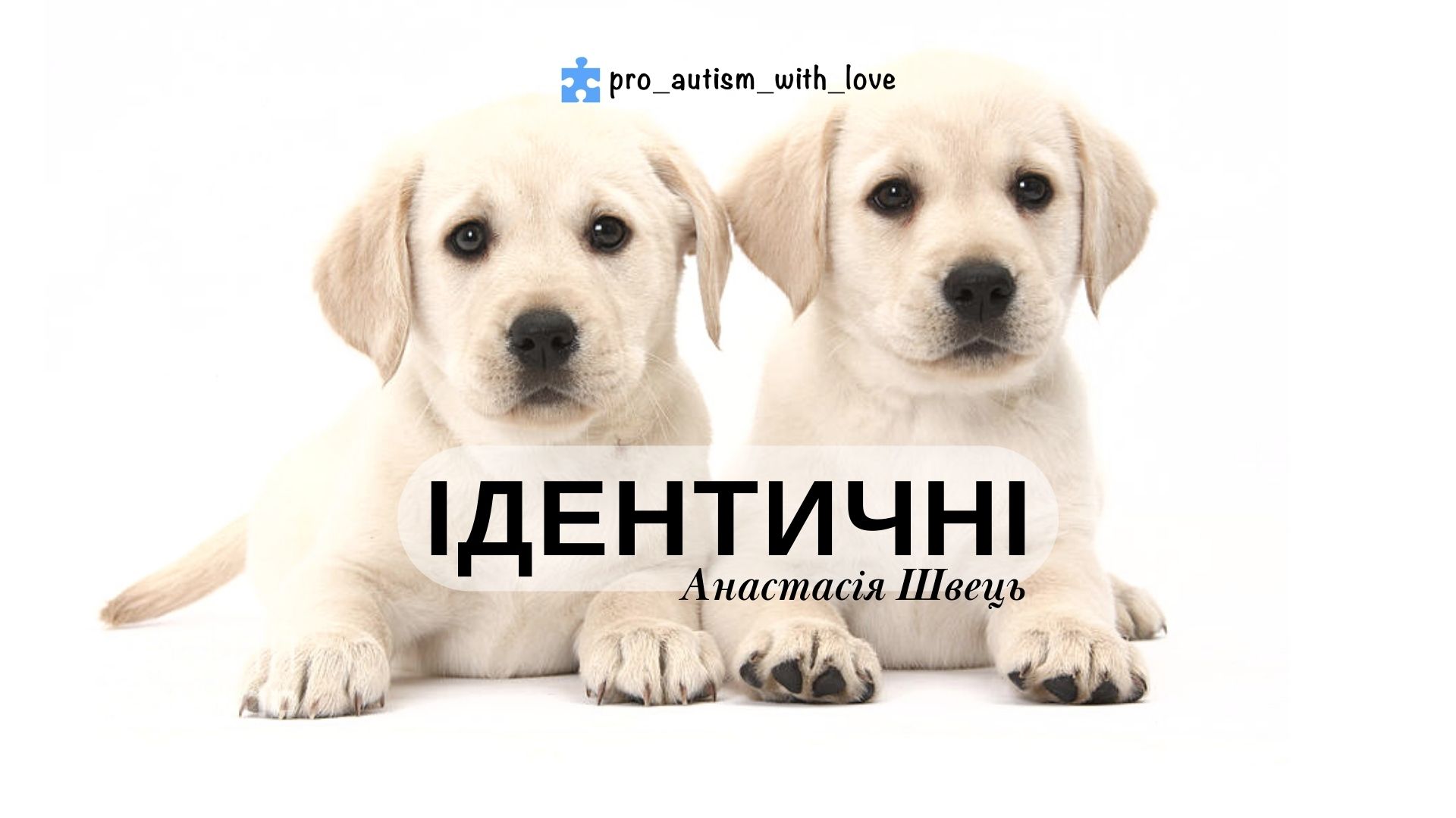 ІДЕНТИЧНІ(ОДНАКОВІ)